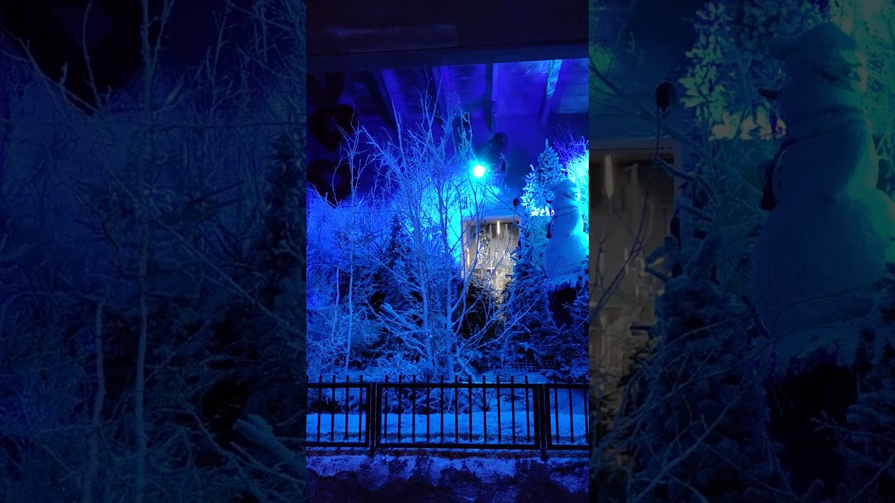 Jul i Aalborg Zoo