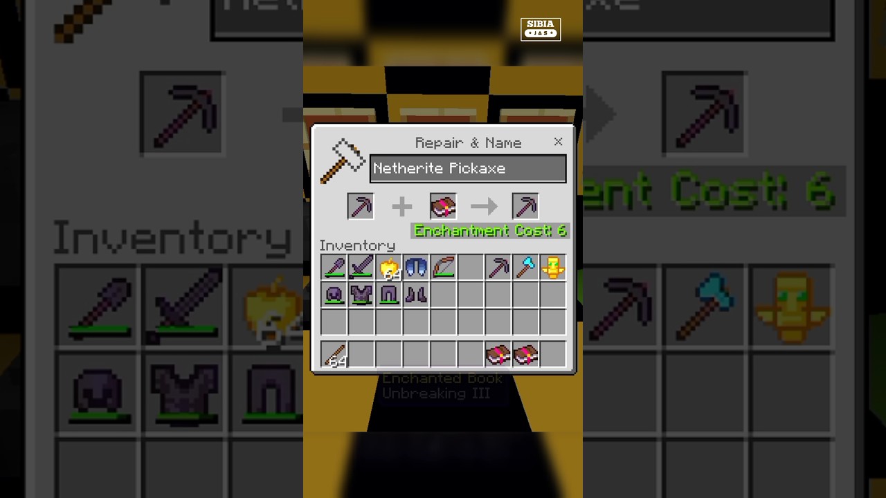 Best ENCHANTMENTS for PICKAXE