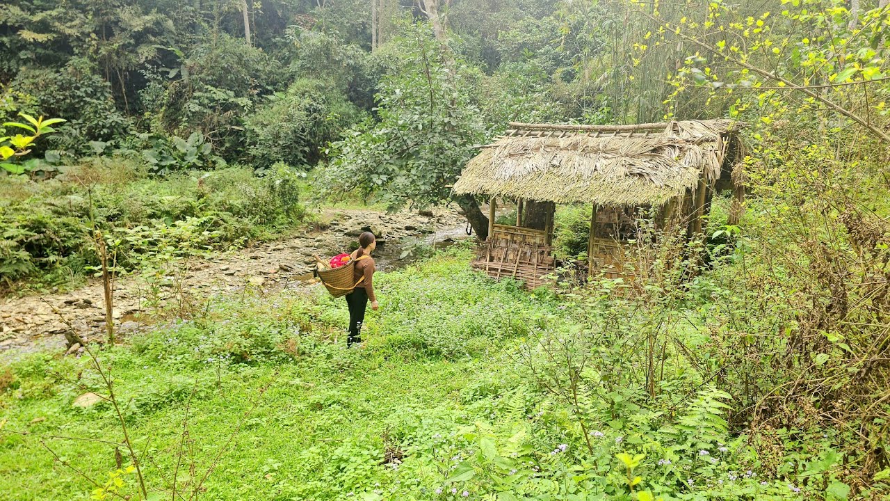 The girl renovated the abandoned house into a shelter. | Chuc Thi Hong