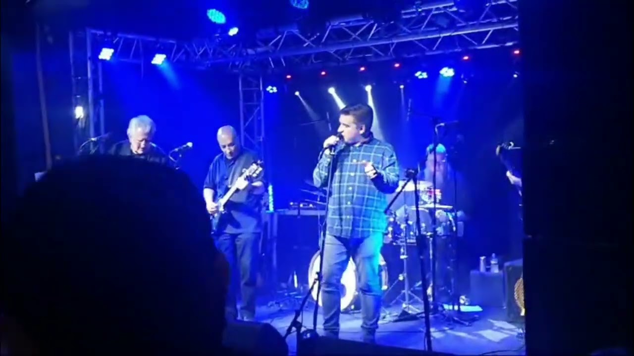Stupidity - Vintage Stuff (Cover)