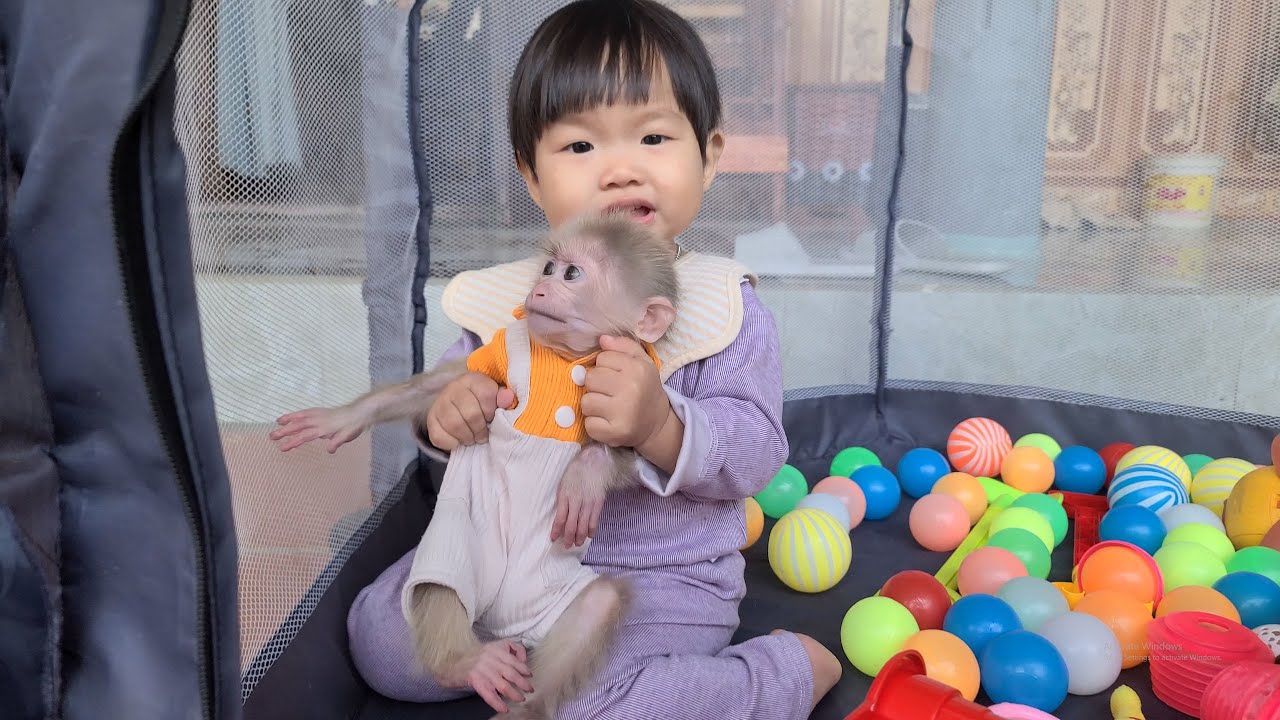 The baby takes care of Tini the pet while Mom goes to the market to buy milk.