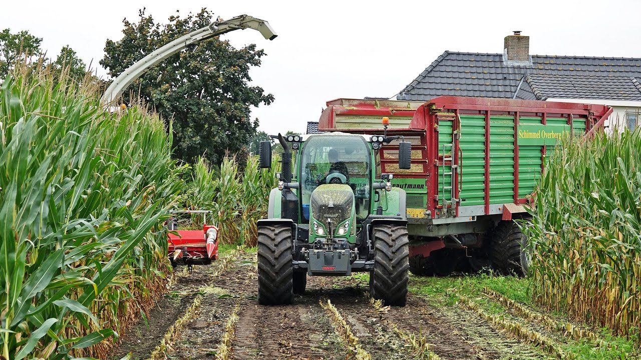 Mais Silage | Claas Jaguar 850 + Fendt + John Deere | Schimmel Overberg | 2021