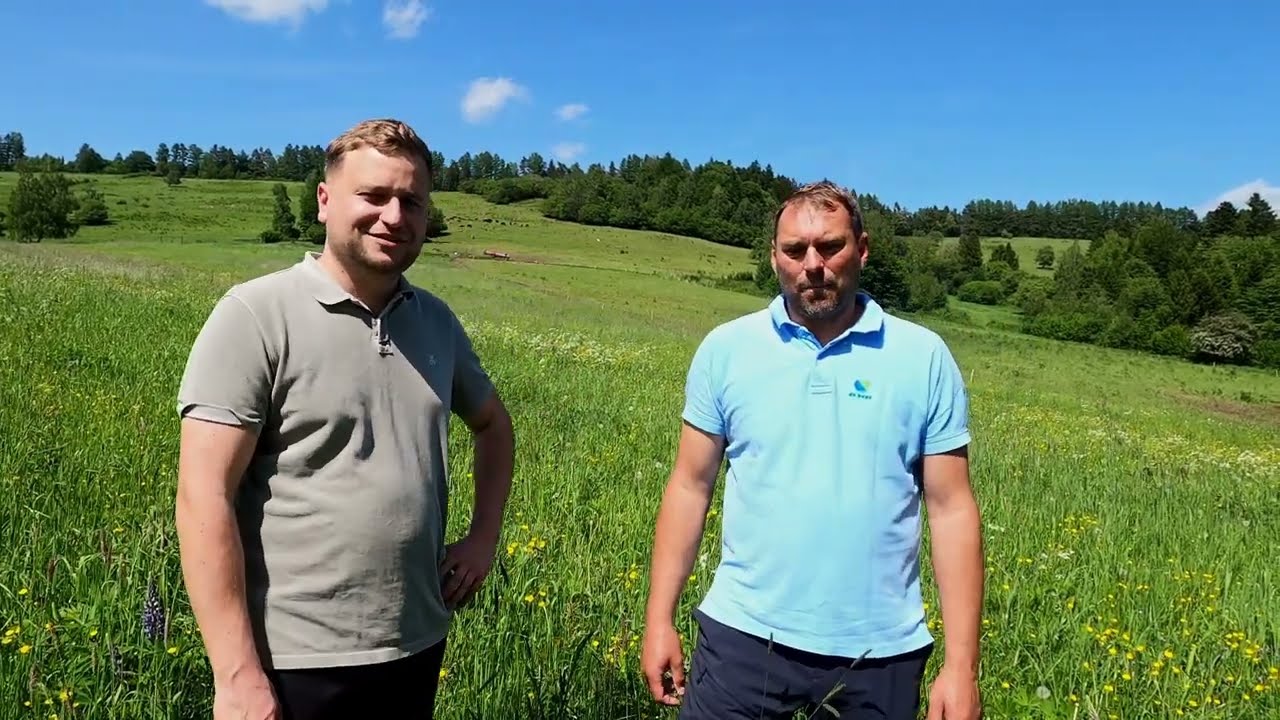 Kiedy siano zamiast słomy w suchym żywieniu?