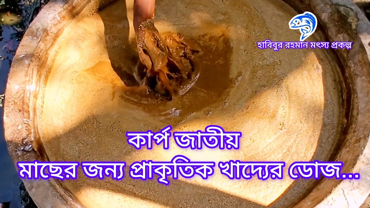 ৩৮২.. কার্প জাতীয় মাছের জন্য প্রাকৃতিক খাদ্যের ডোজ। 