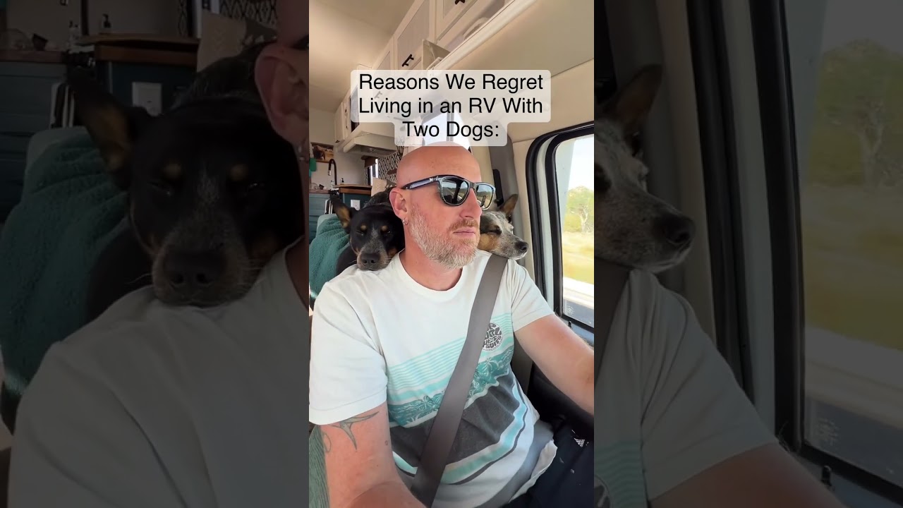 Reasons We Regret Living in an RV With Two Dogs #rvlifewithdogs #rvlifestyle #rving
