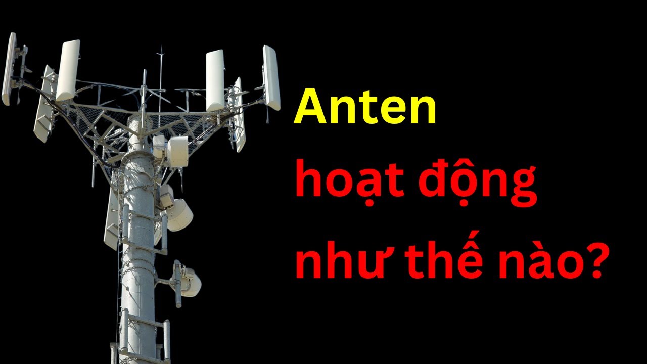 Anten hoạt động như thế nào? | Tri thức nhân loại