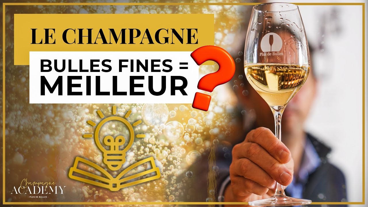 Champagne : fines bulles = meilleur vin ? 🥂 La vérité sur ce qu’on voit dans le verre