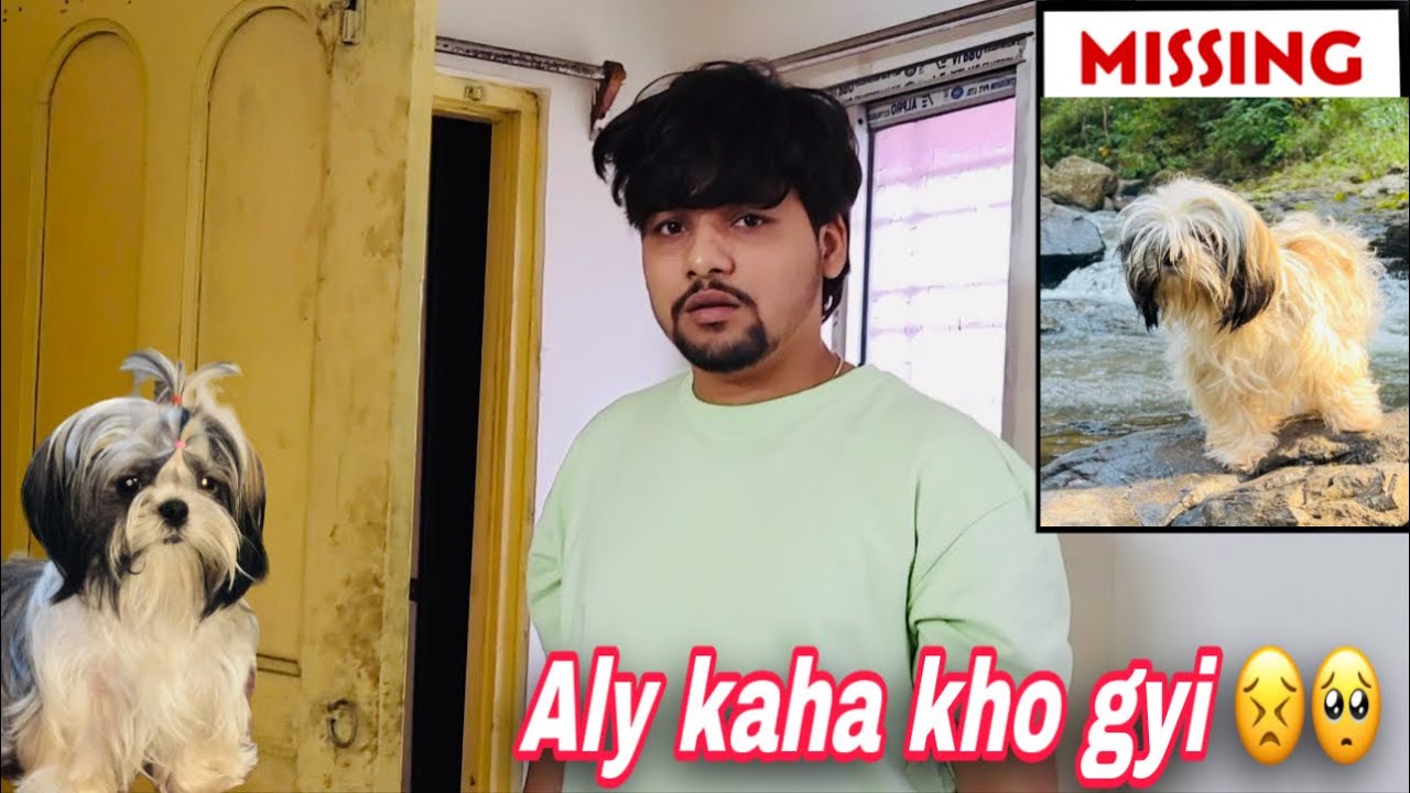 Humari Aly 🐶 Kho gyi 😓 Vishu ke karn 😡 | Prank with Bf | Couple masti | shih tzu Puppy| vishu aly