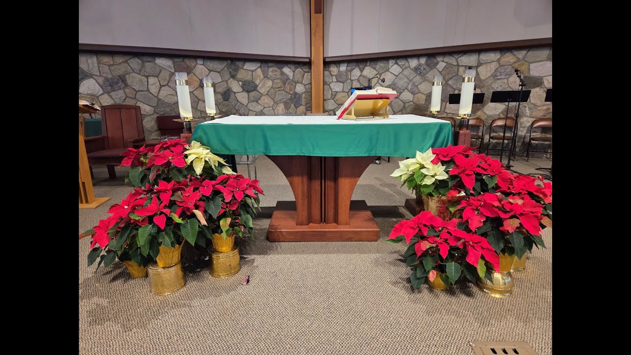 4th Sunday in Ordinary Time, 11am  Mass, 1 February 2026, St. Pius X Parish Calgary AB.