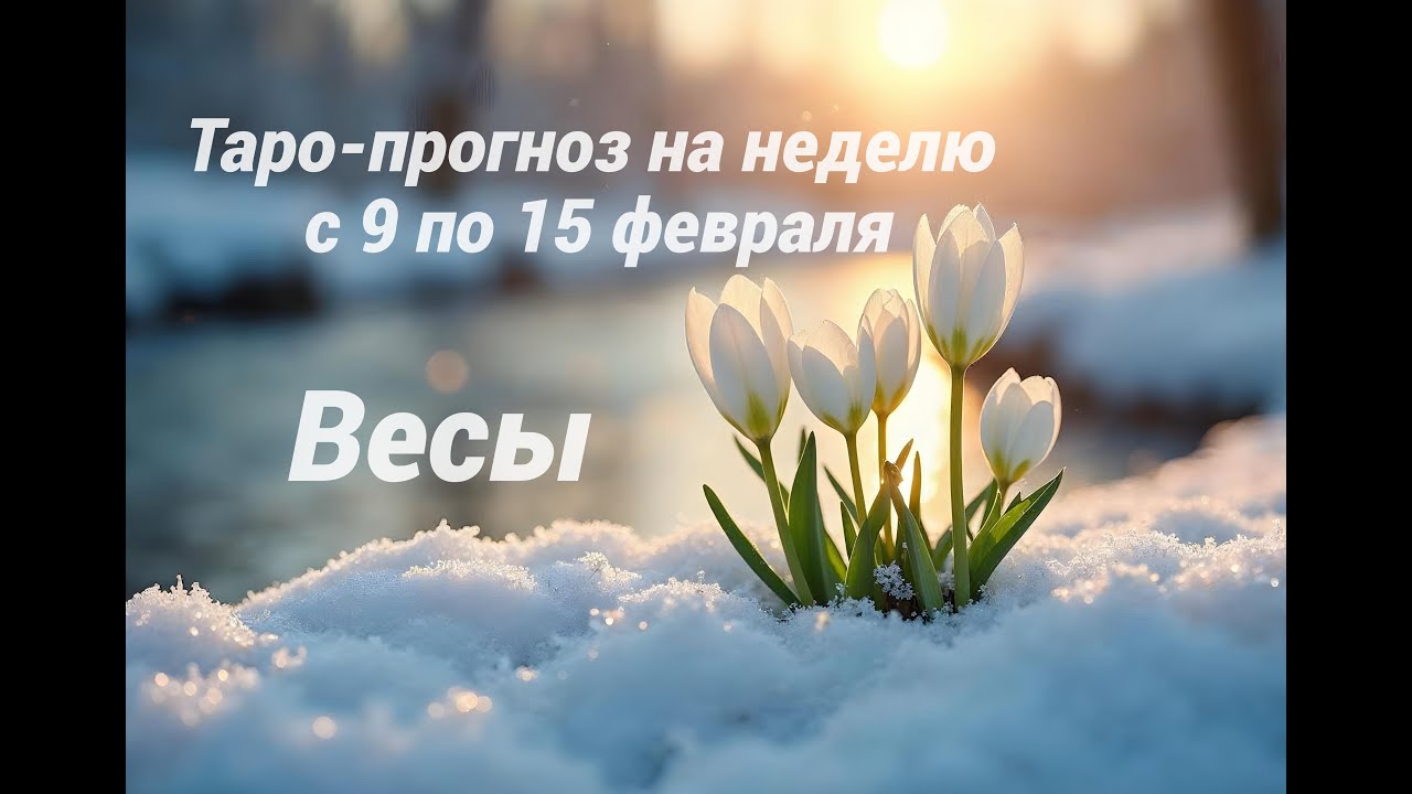 Весы.  Таро-прогноз на неделю с 9 по 15 февраля