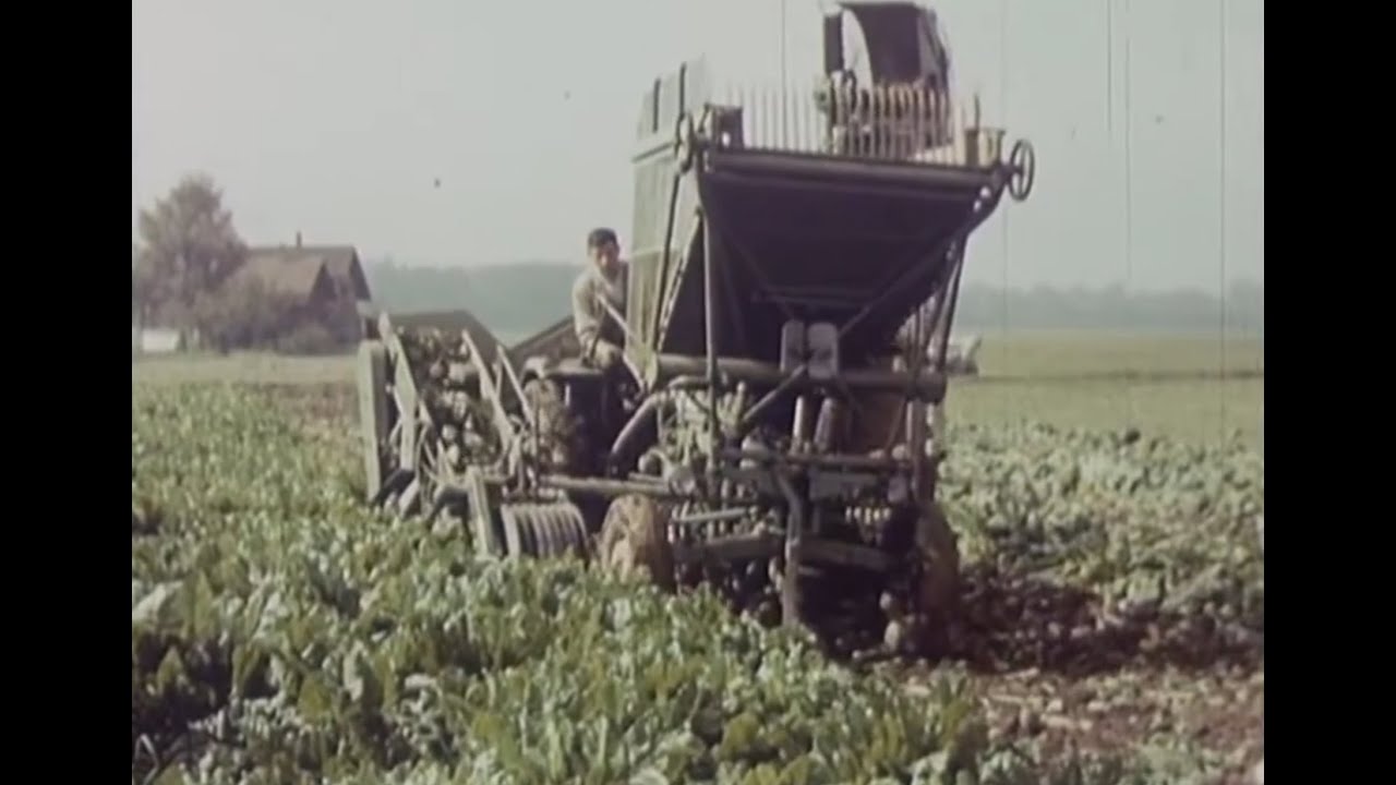 Fendt Werbefilm 60er Jahre (Teil 8) F220GT/Rübenroder/SELTEN!!!!