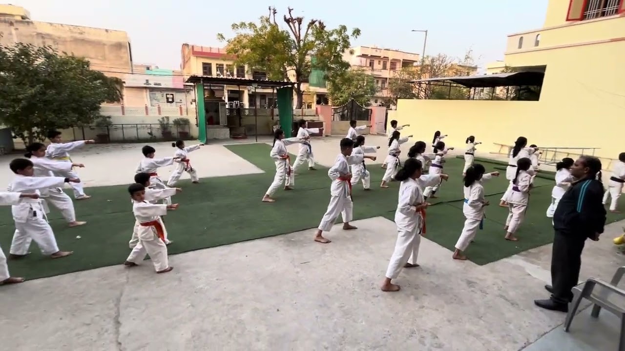 Karate kata 