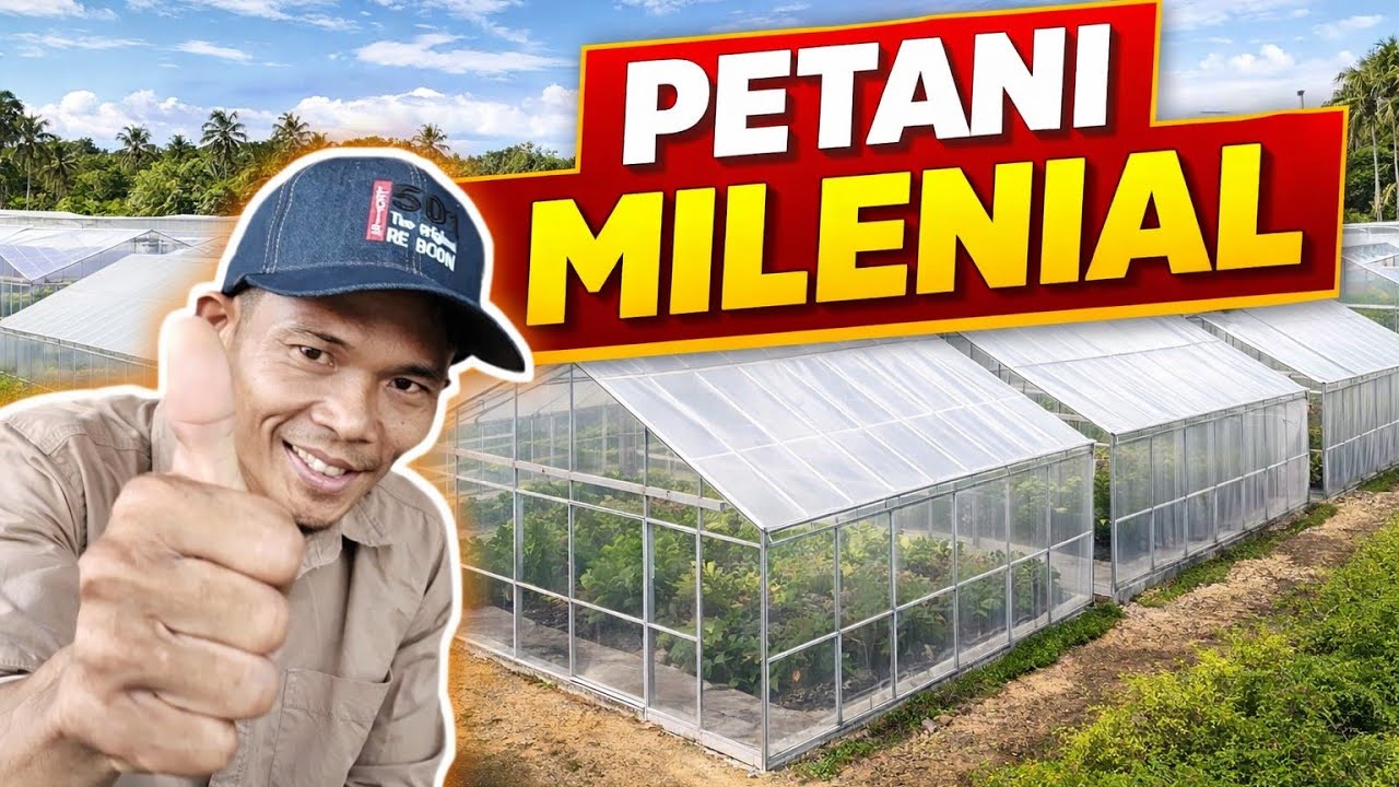 CERITA DARI TRANSMIGRASI KALIMANTAN. UTARA BULUNGAN TANJUNG SELOR, 