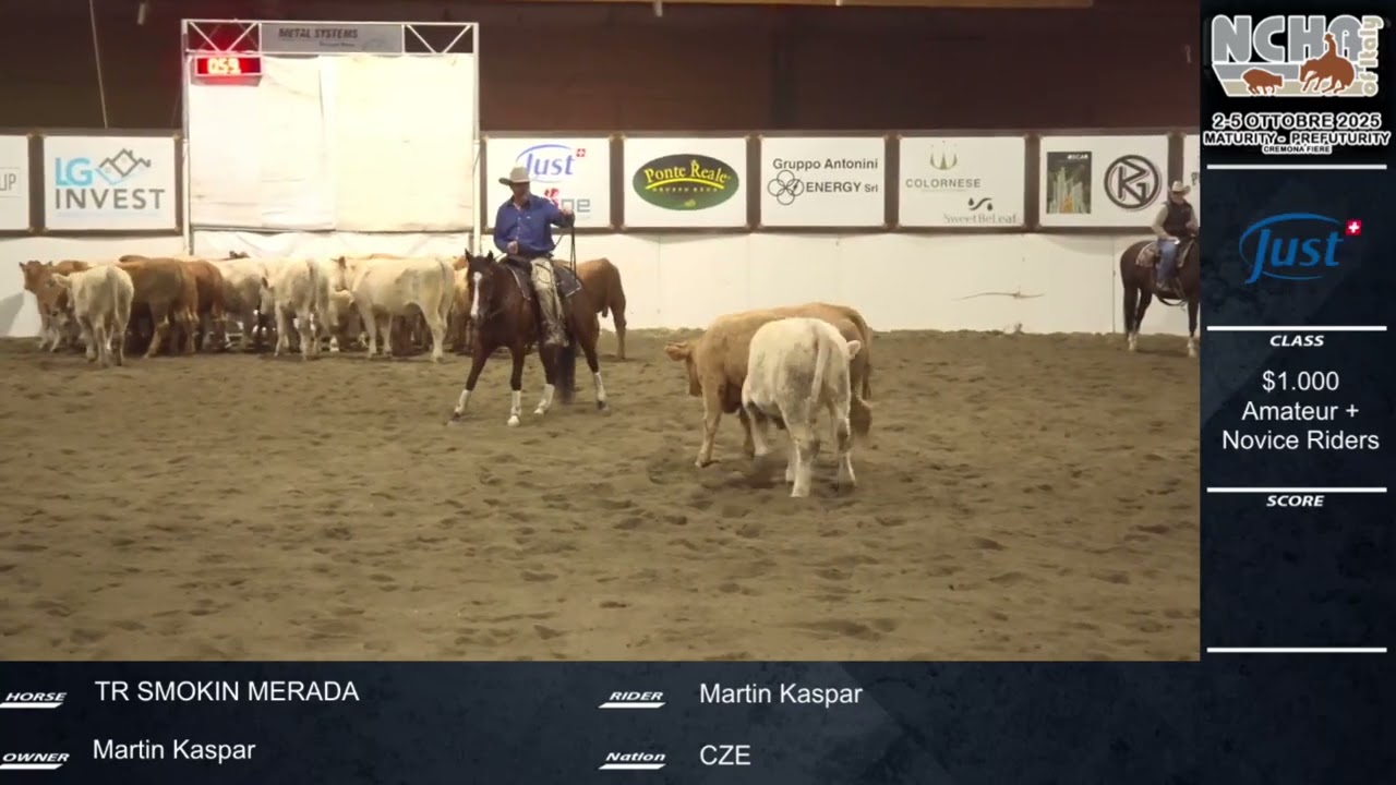 Ncha Maturity Novice Riders Champion
