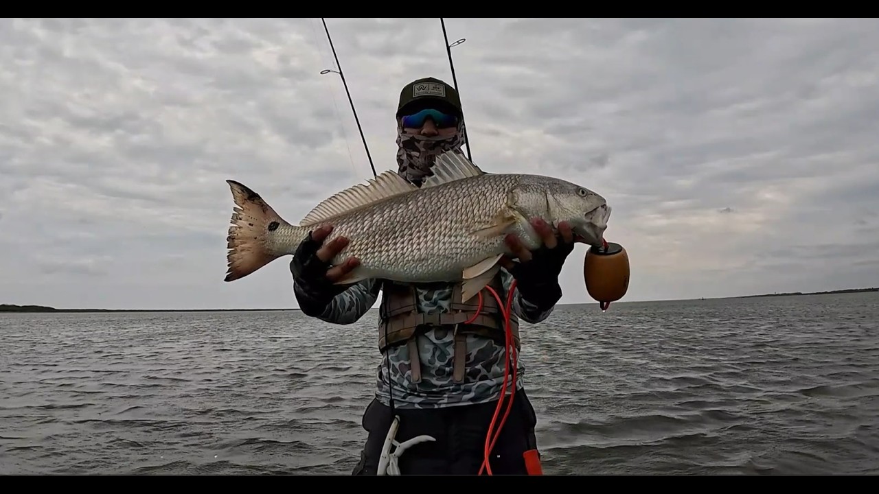 Chasing GATOR Trout and BIG Reds!