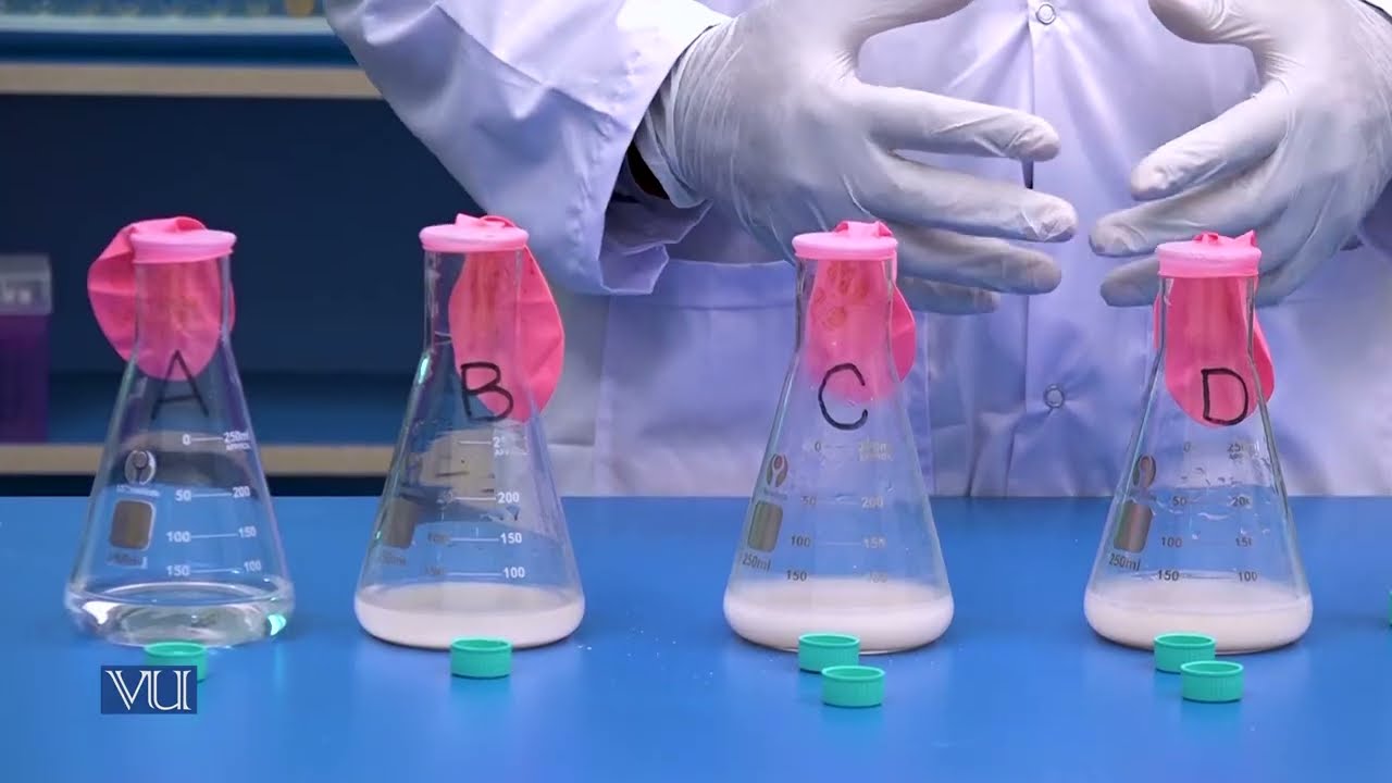 Fermentation of Different Sugars by Bacteria or other Microorganisms |  Practical | BT614P_Lecture01