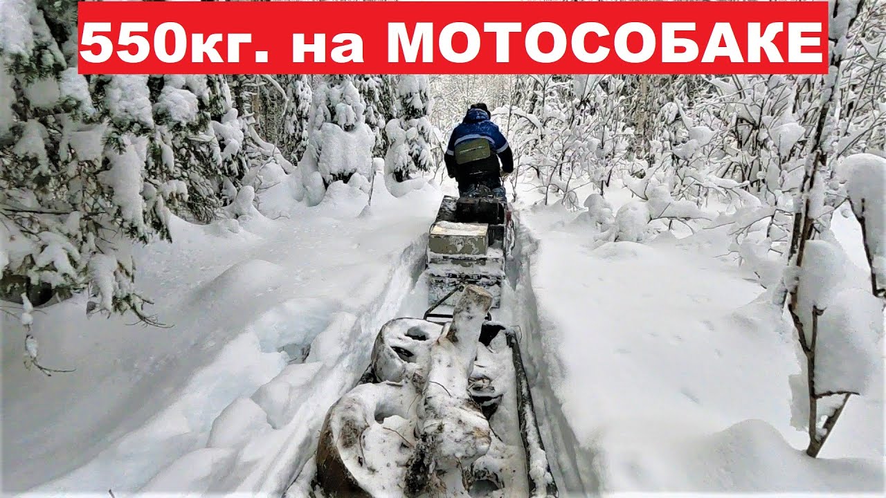 550 кг не считая наездников на 