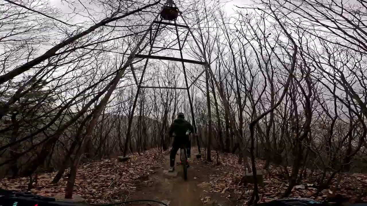 2026년 2월 22일