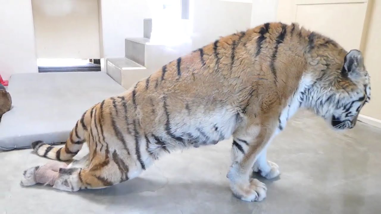 少しでも