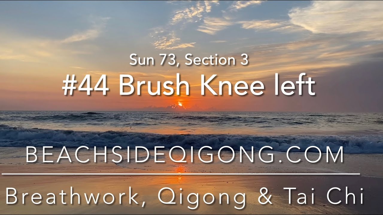 Sun 73 Tai Chi Course, Section 3, Move #44 Brush Knee left