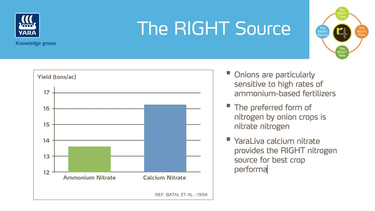 The Right Source - Onion Crop Nutrition
