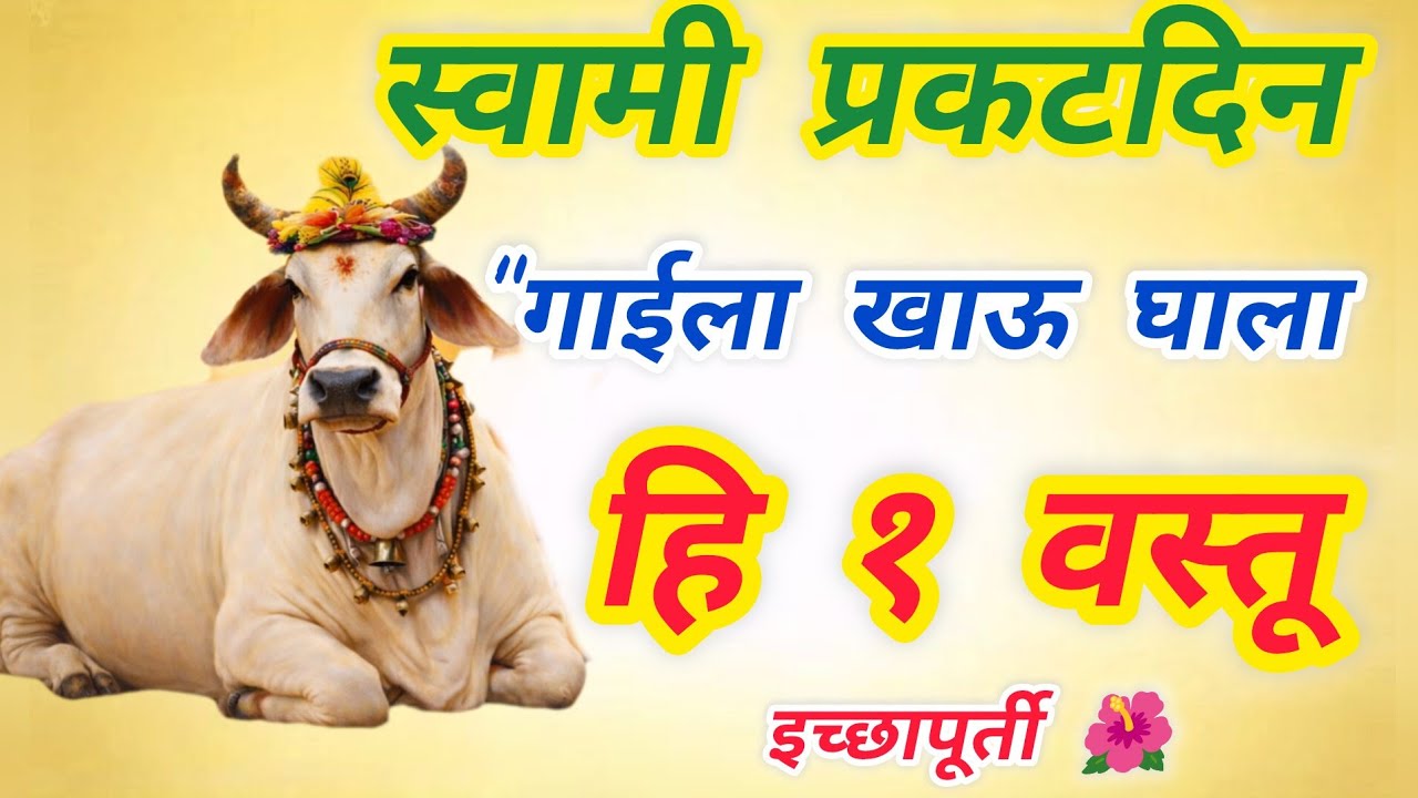 स्वामी समर्थ प्रकटदिन २०२६ | गाईला खाऊ घाला ही १ वस्तू | जीवन बदलणारा उपाय! 🚩🐄