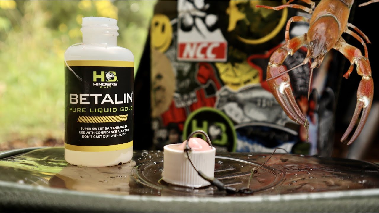 Combat The Crayfish With These Bait Tips 🦞❌ || Martyns Angling Adventures