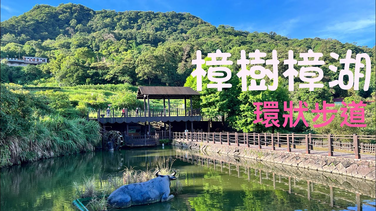 貓空樟樹步道樟湖步道環狀路線