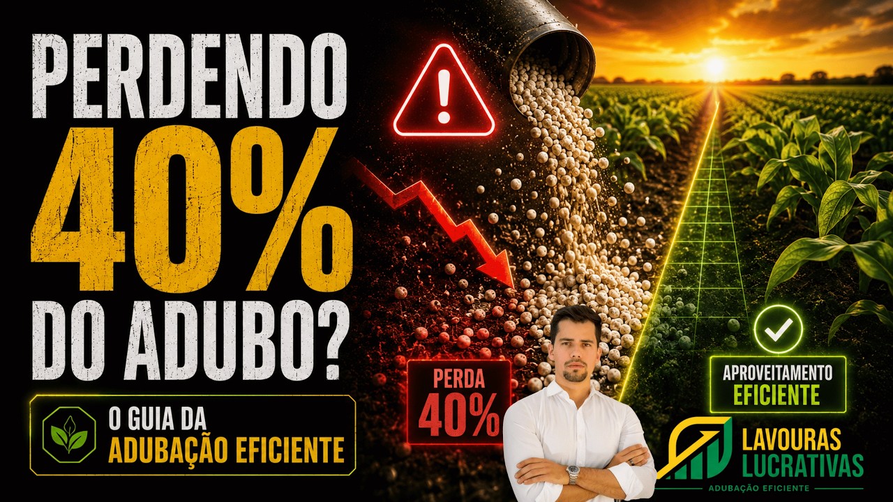 Você está perdendo 40% do seu adubo? | O Guia da Adubação Eficiente