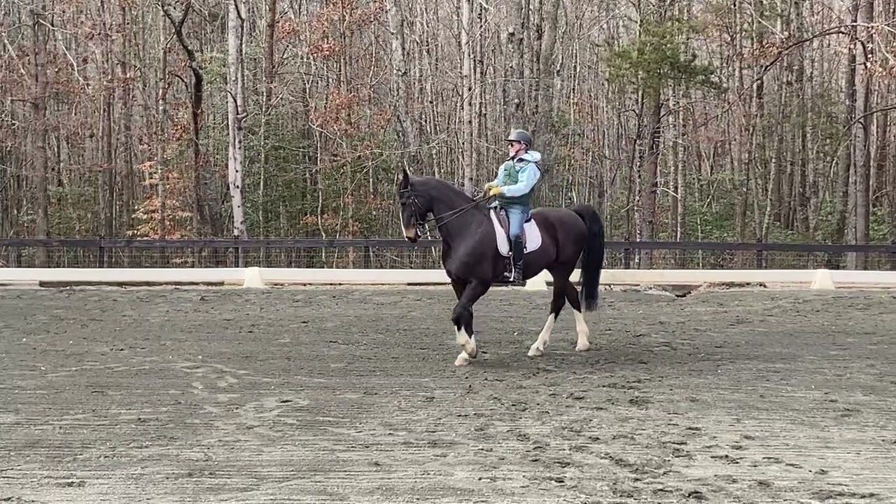 Haunches in on the circle and reversing pirouettes in walk