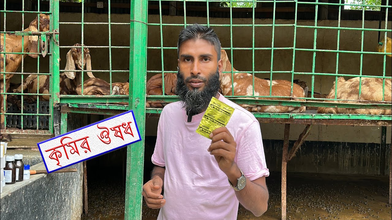 ঠান্ডা ঠান্ডা আবহাওয়ায় খামারের সব ছাগলকে কৃমির ঔষধ দিয়ে দিলাম || Shokher Khamar