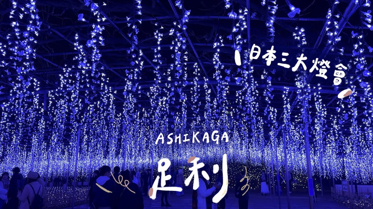 🇯🇵栃木 | 足利花卉公園🎄500萬顆LED燈海、日本三大燈會、冬季紫藤花、佐野拉麵🍜  | 東京近郊 | 東京生活 | 冬散策