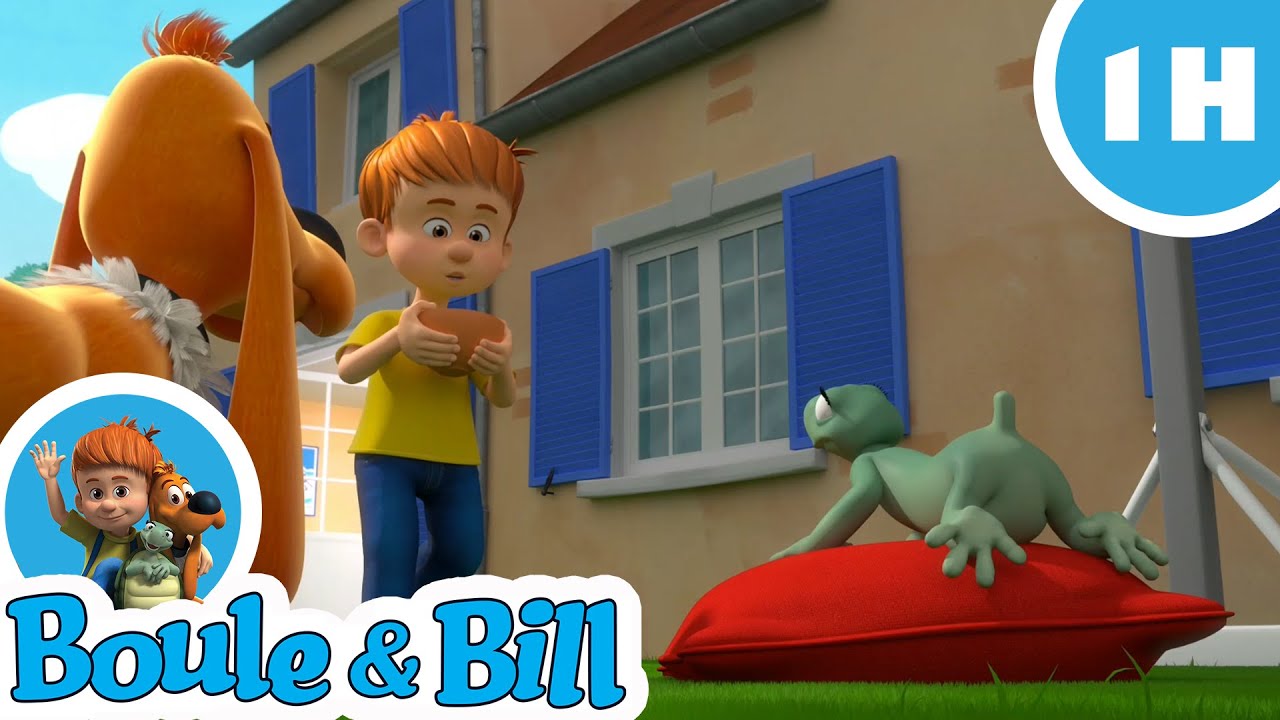 🐢 Boule et Bill adorent s'amuser avec Caroline la tortue 🥰- Nouvelle compilation Boule et Bill FR
