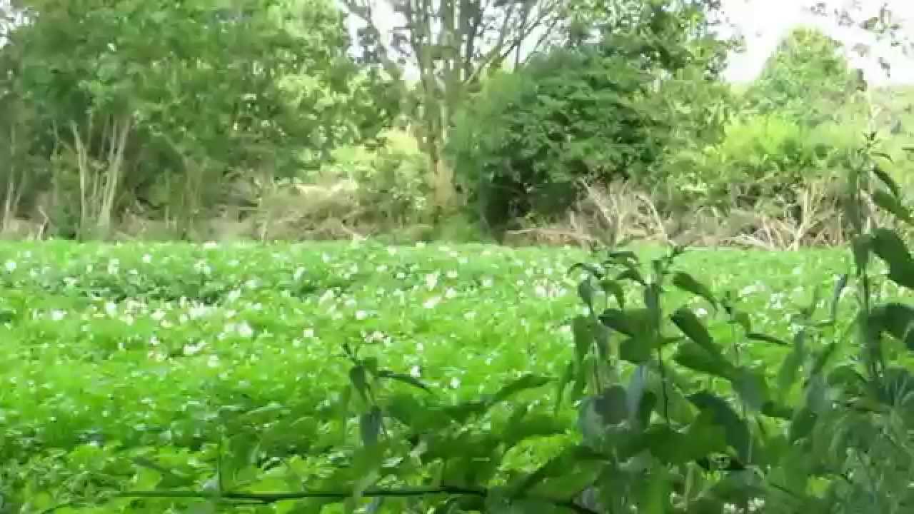 Drenthe - Drents Friese Wold, 2. Het Drentse Landschap.