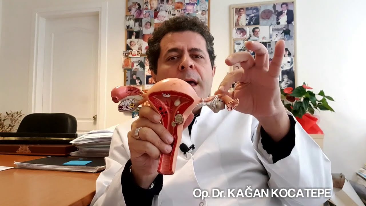 Dış gebelik nasıl oluşur ve tanı konur, neden kürtaj gerekir, ne zaman ilaç veya ameliyat gerekir?
