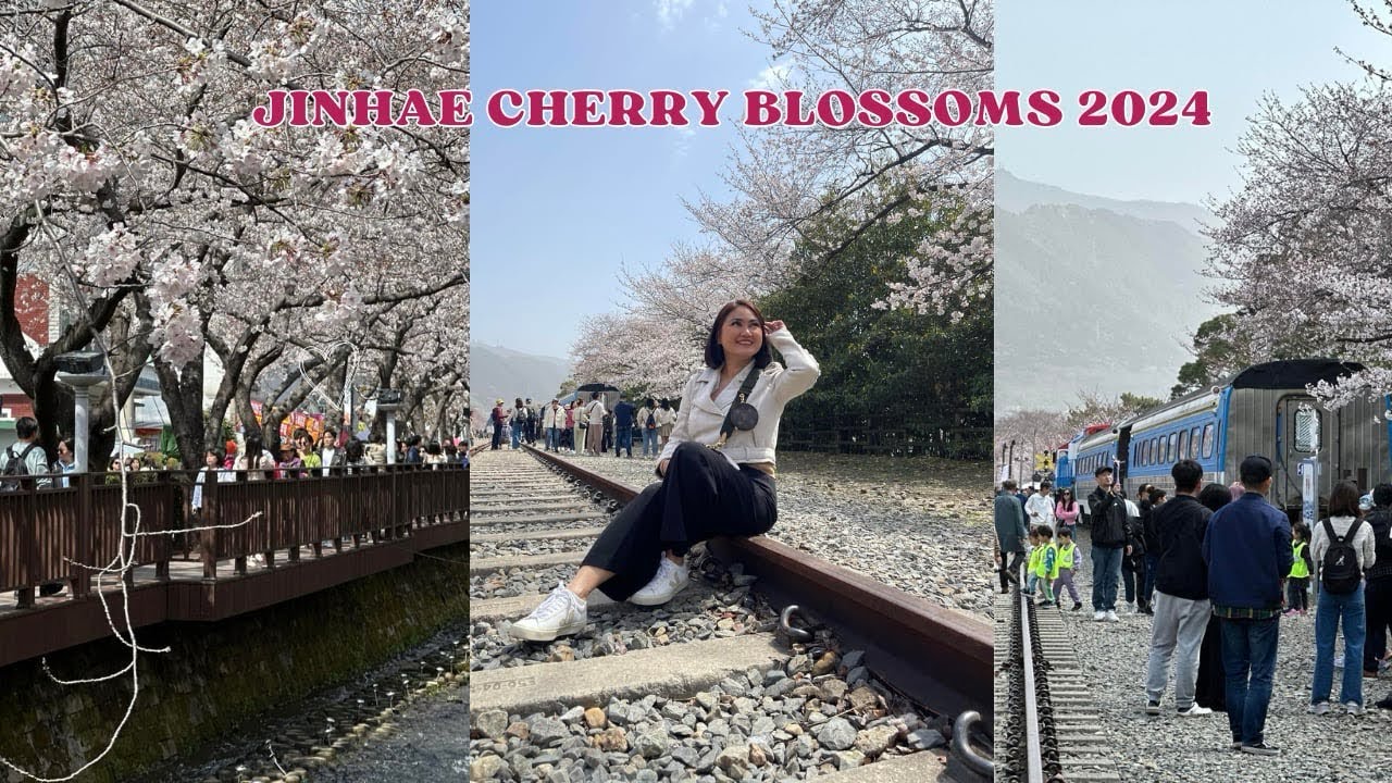2Days Busan Trip + Jinhae Cherry Blossoms Festival 2024 🌸🌸🌸
