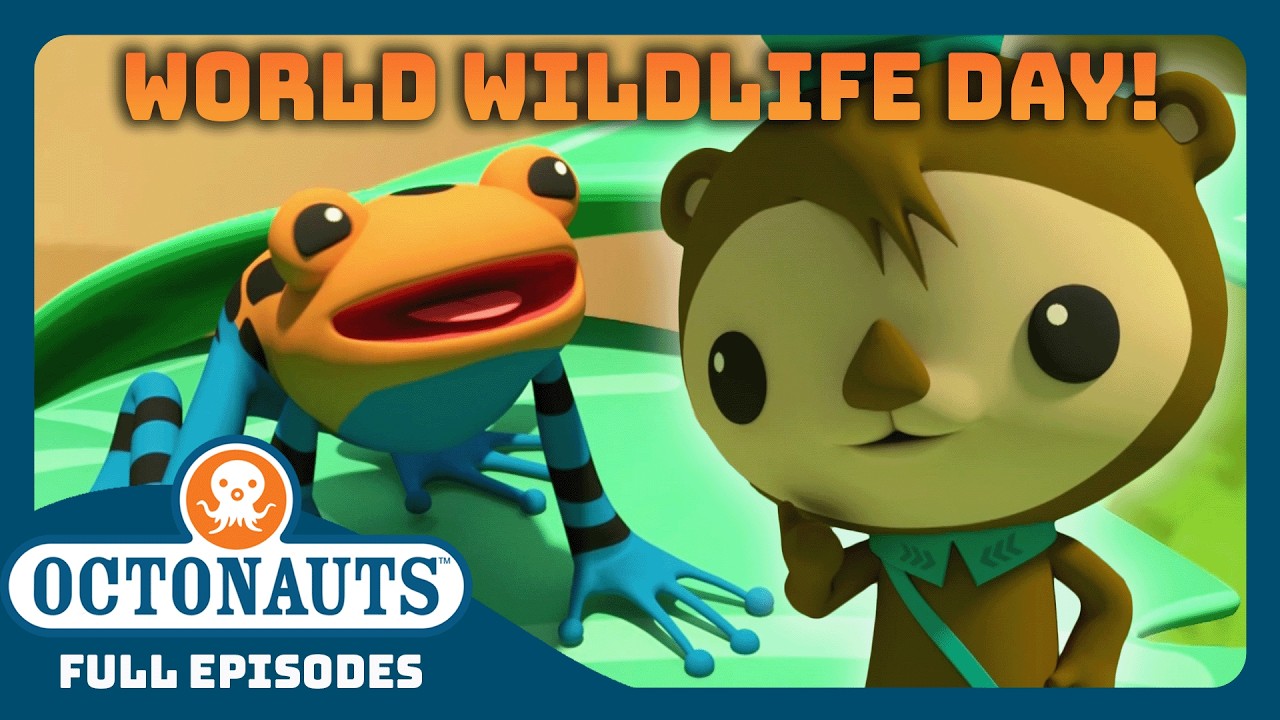 @Octonauts - 🌴 Celebrating World Wildlife Day! 🦩 | 30 Mins+ Full Episodes Marathon