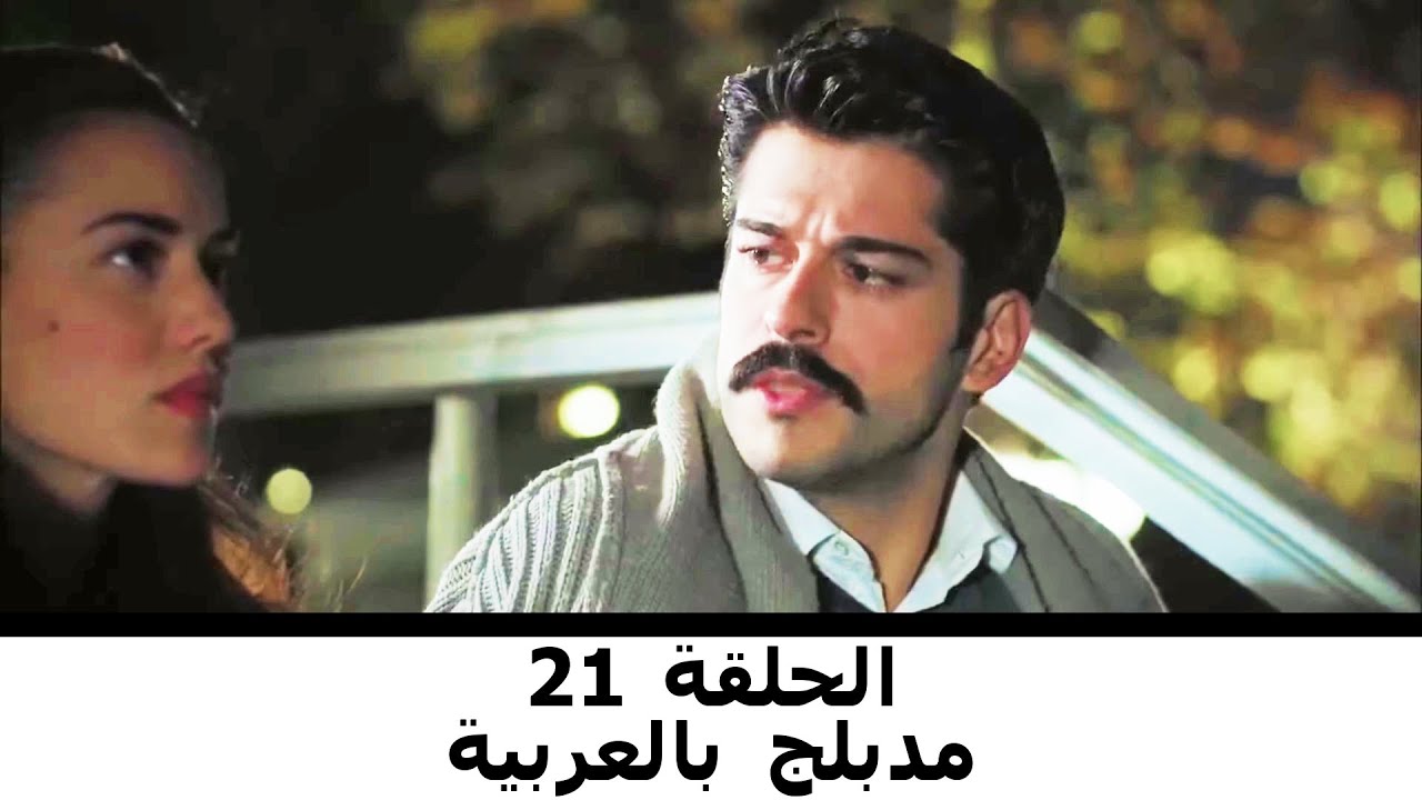 مدبلج بالعربية الحلقة 21 | طائر النمنمة