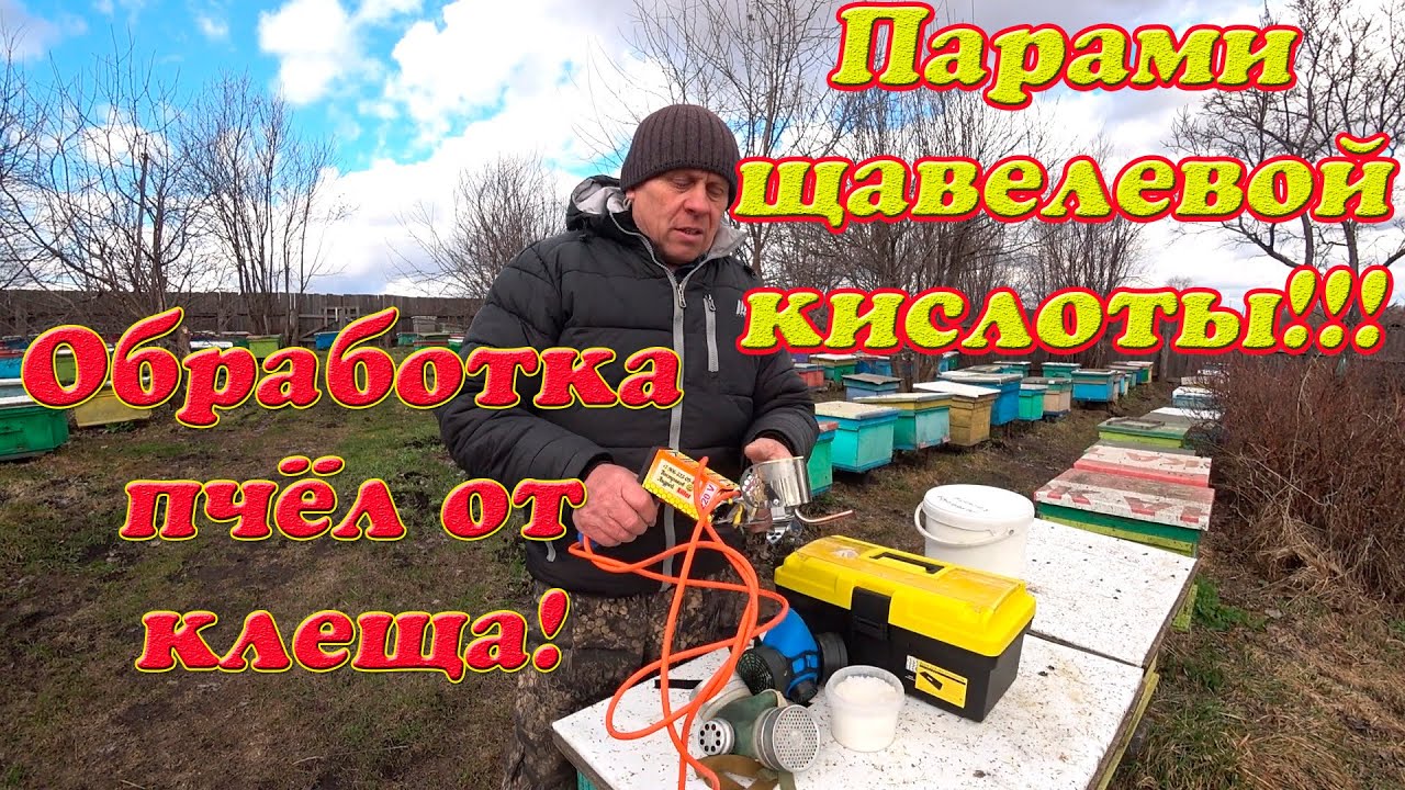 ПРИОБРЁЛ СУБЛИМАТОР,  ОБРАБОТКА ПЧЁЛ ОТ КЛЕЩА ВАРРОА ПАРАМИ ЩАВЕЛЕВОЙ КИСЛОТОЙ, ПРОБНЫЙ ТЕСТ.