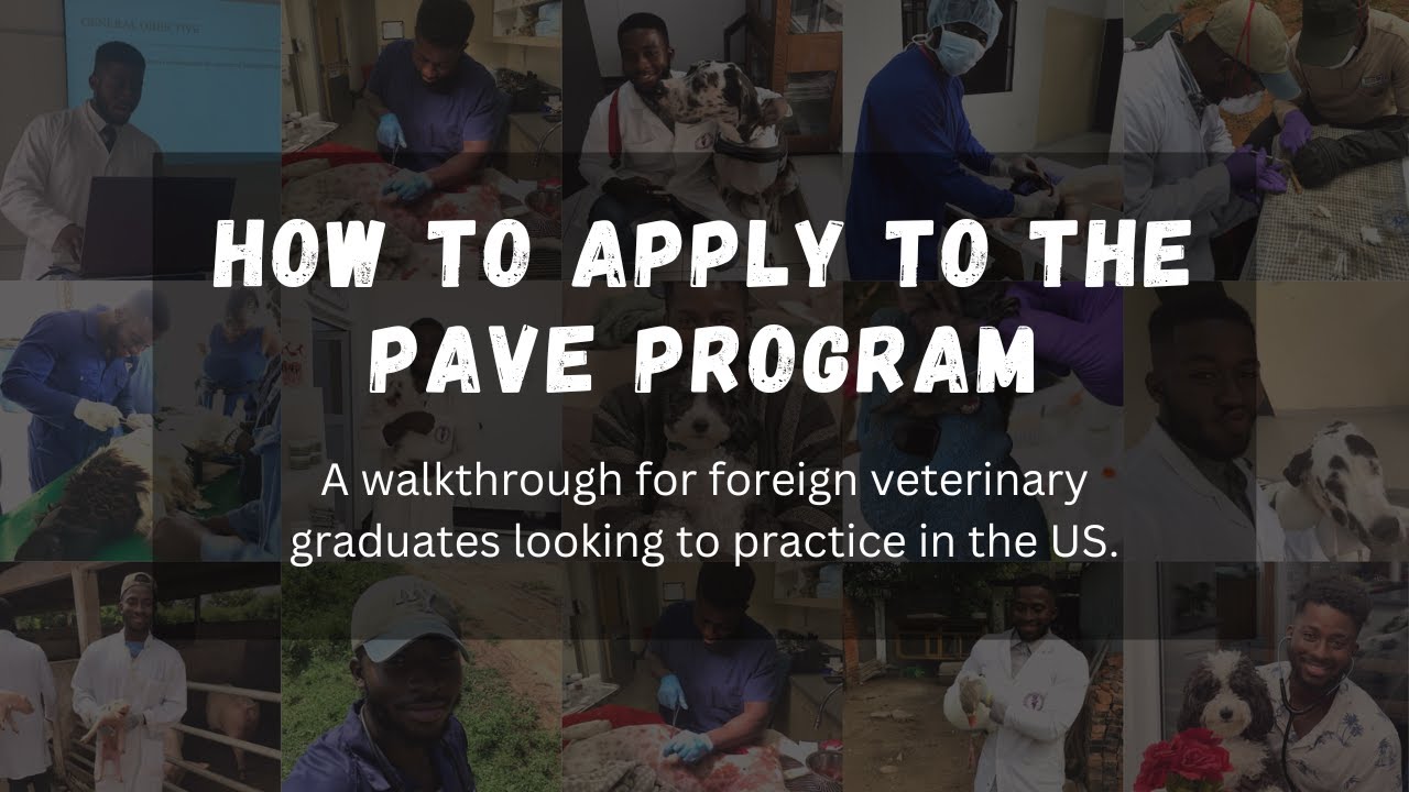 How to Apply to the PAVE Program for Foreign Veterinarians
