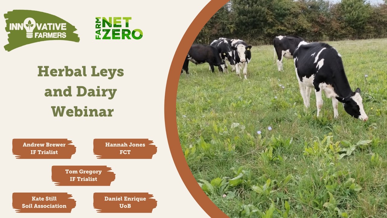 Herbal Leys and Dairy Webinar