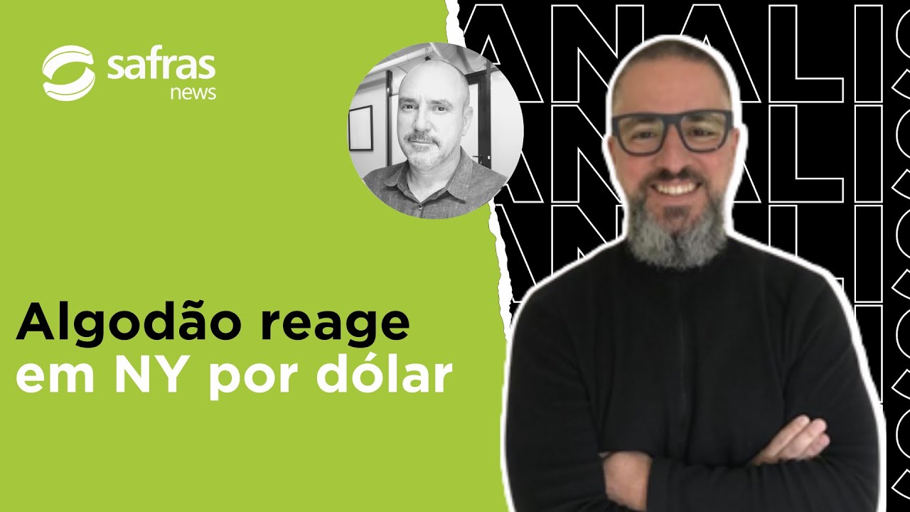SAFRAS TV: Algodão reage em NY, refletindo dólar fraco - Conversa com o Analista
