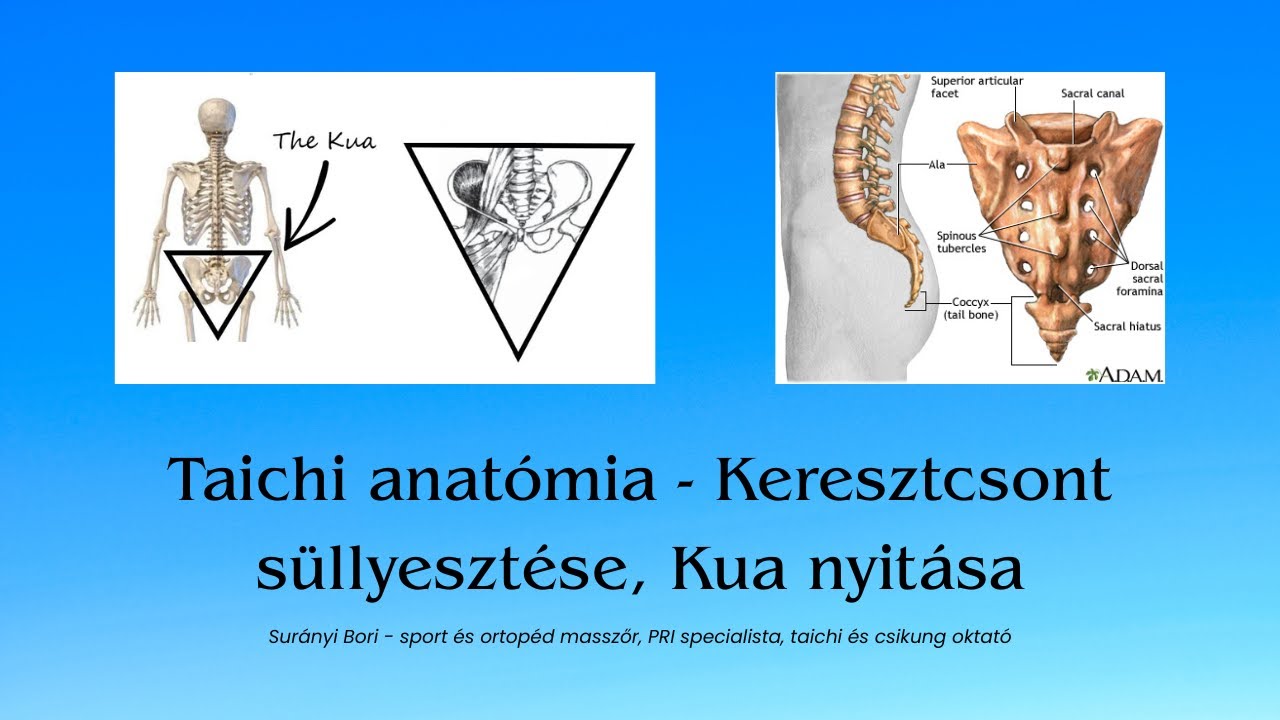 Taichi/Taiji anatómia - keresztcsont süllyesztés, Ming Men, Kua nyitása