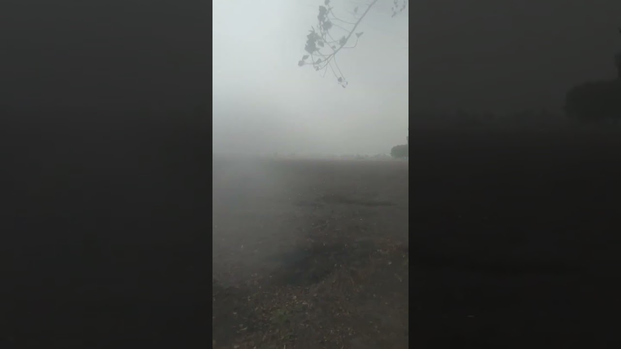 rain 💦⛈️🌧️🌧️.. #trending #barish #viralvideo #botad #news #shorts