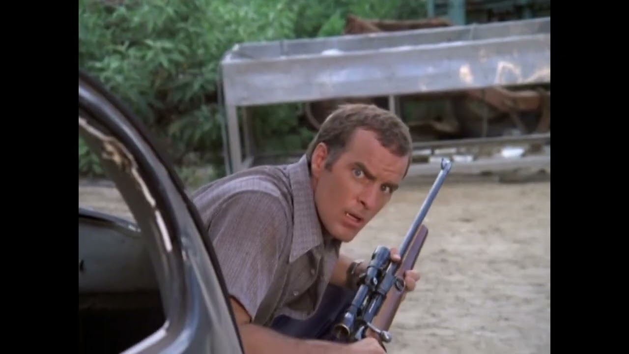 Hawaii Five-O (classic): Small Witness, Large Crime ~ Closing Scene