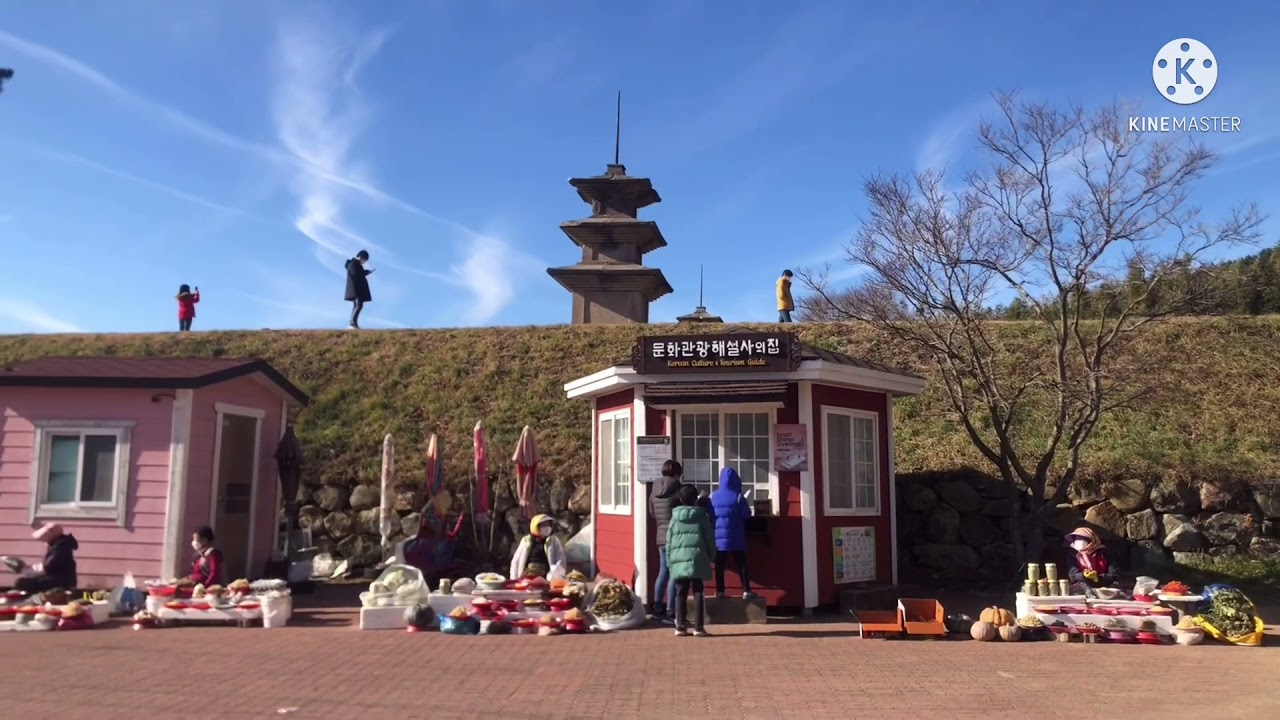 Gyeongju gameunsa temple site 감은사지 경주 여행 /경주 문화관광