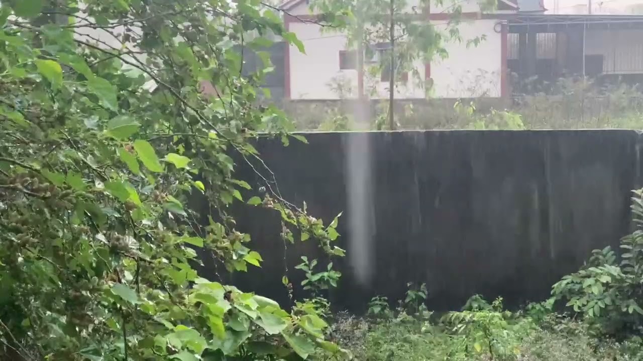 Garden in the Rain 🌧️ Tranquil Nature ASMR