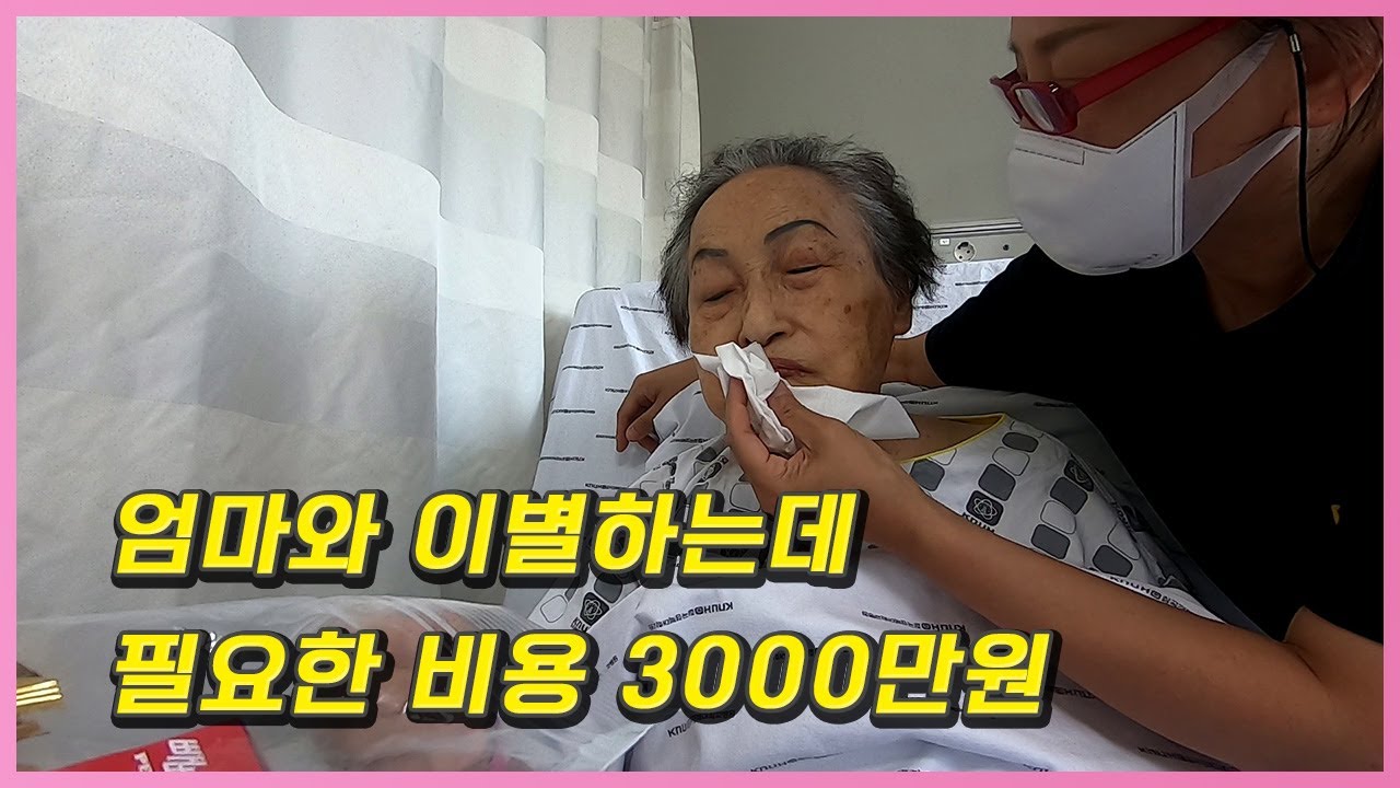 희망은 현실앞에서 주춤한다 돈과의 전쟁V84 브이로그 뇌경색 간병비 병원비 통합간호간병 시스템