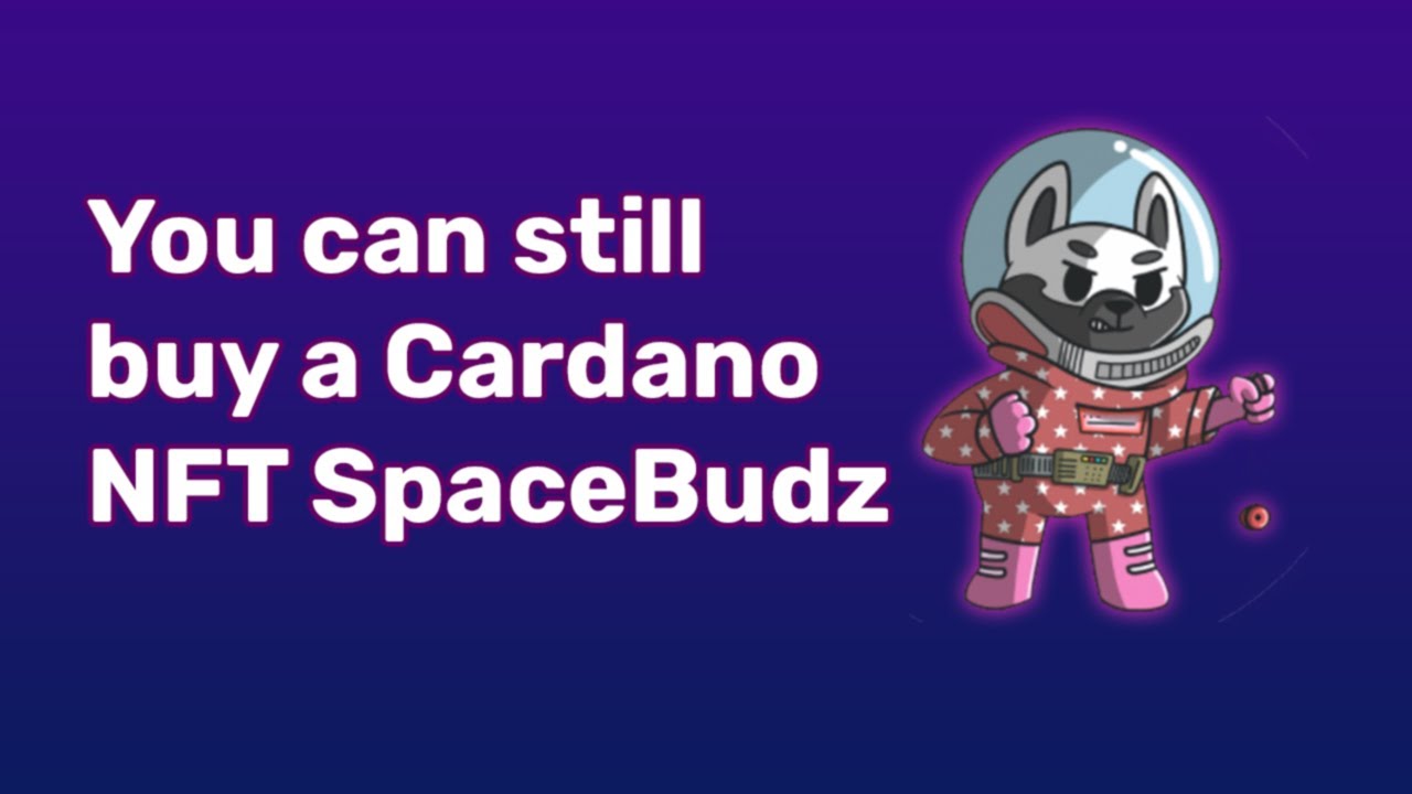 Cardano SpaceBudz NFT Artwork for Auction!