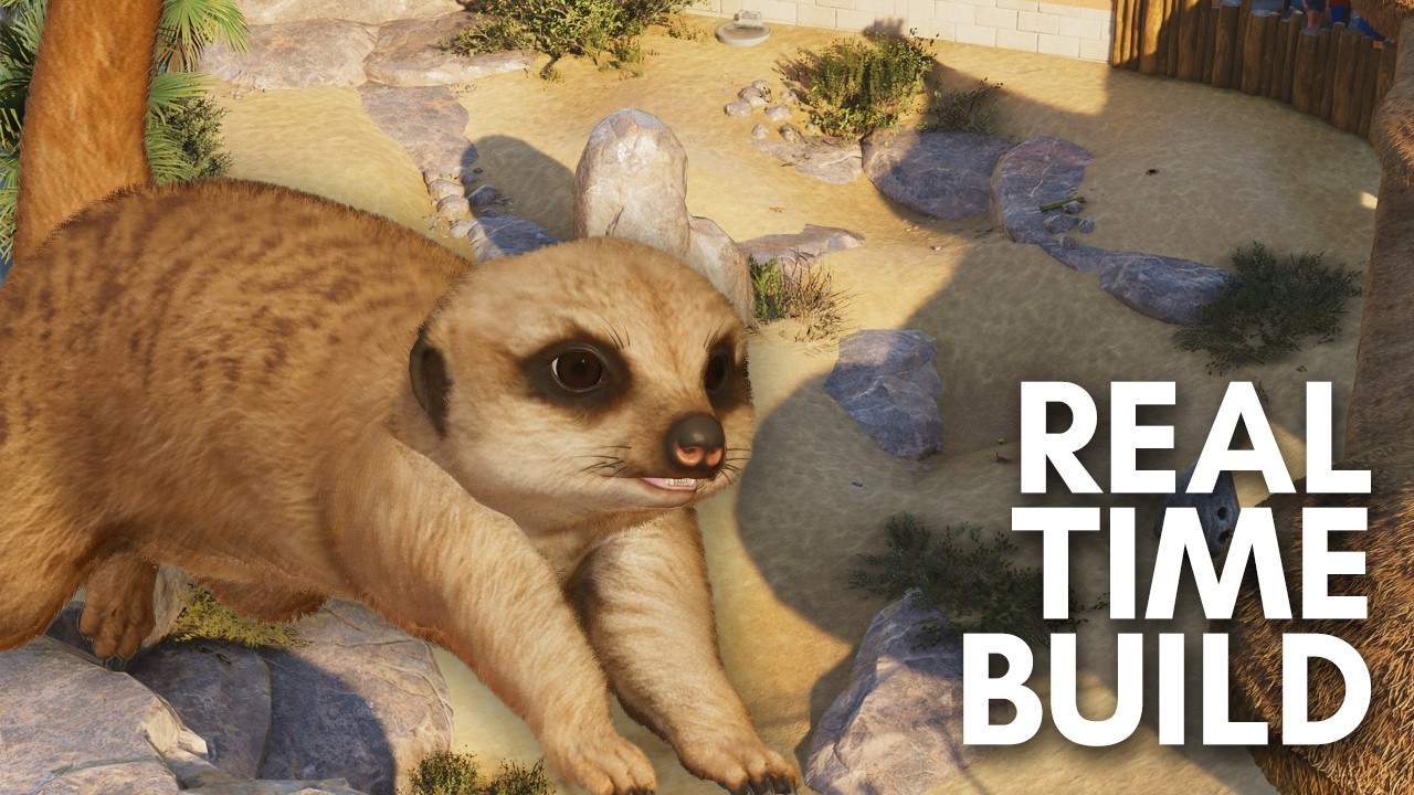 Marvelous Meerkats In Franchise Mode Planet Zoo 2 | Real Time Build